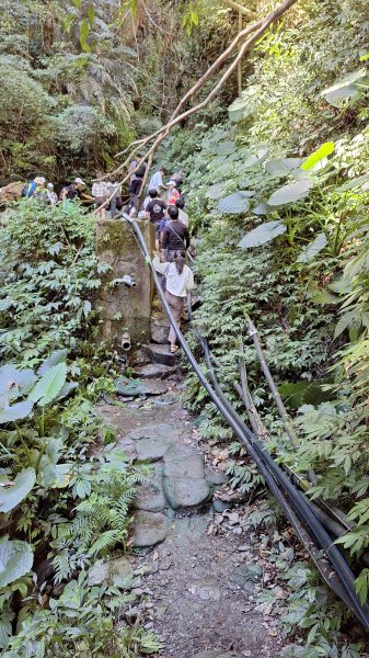 20251116 武界壩－摩摩納爾瀑布2937967