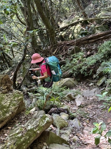 波津加山 202509142893390