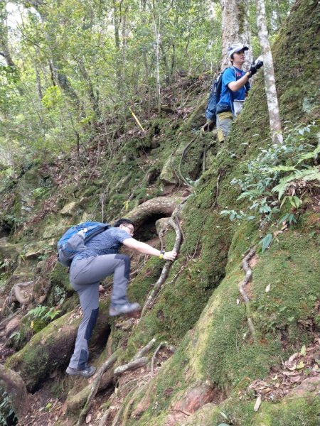 霞喀羅大山之跡600790