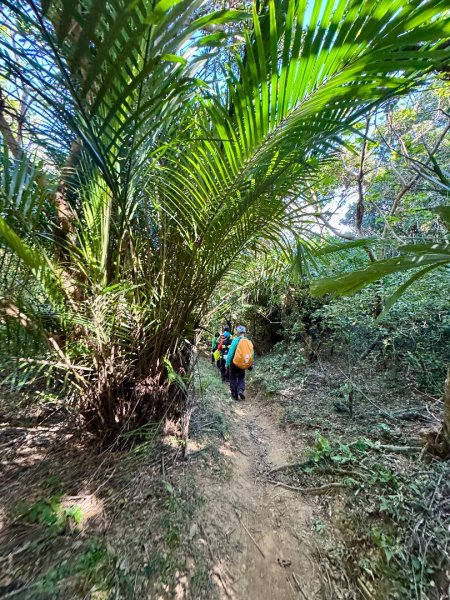 恆春大縱走:鎮南宮-赤牛嶺-大山母山(小百岳#81)-南灣出2963747