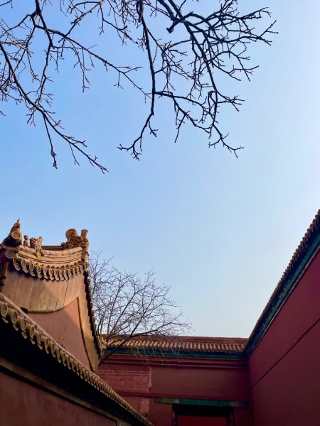 ㄧ路向北尋雪2994210