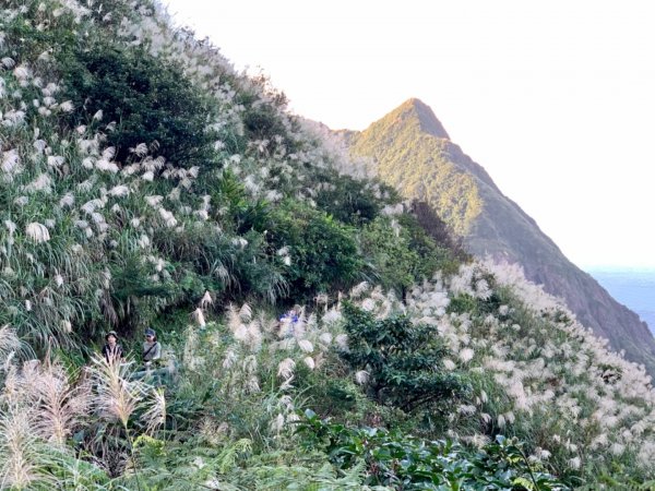 無耳茶壺山封面