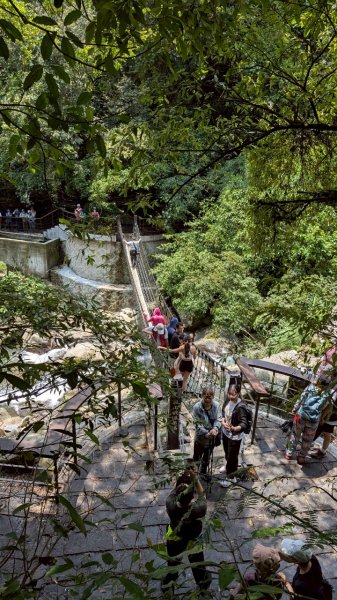 114.04.27草山觀瀑吊橋-紫明溪步道之旅2771764