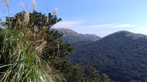 面天山層層雲海美極了!209219