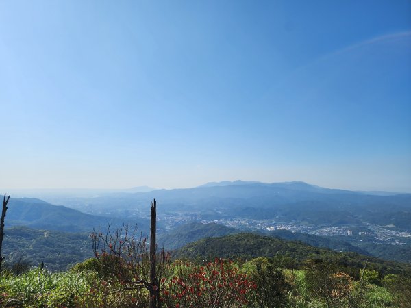 20250322-姜子寮山2740000