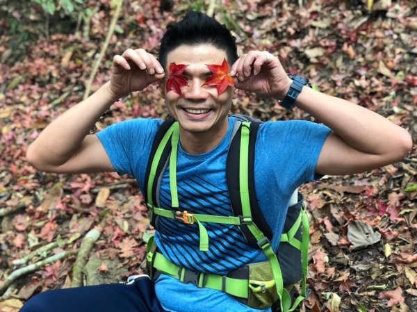 精彩絕倫 毫無冷場的橫龍古道賞楓記493506