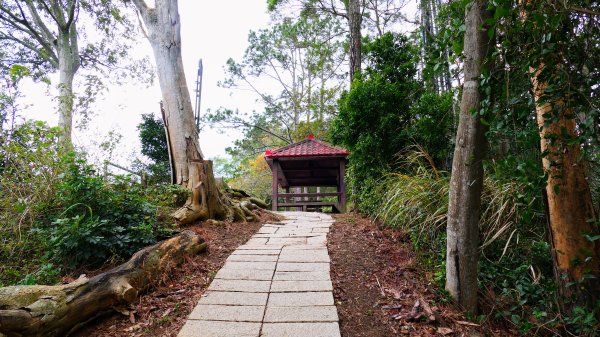 老崎古道(後花園步道)2676836