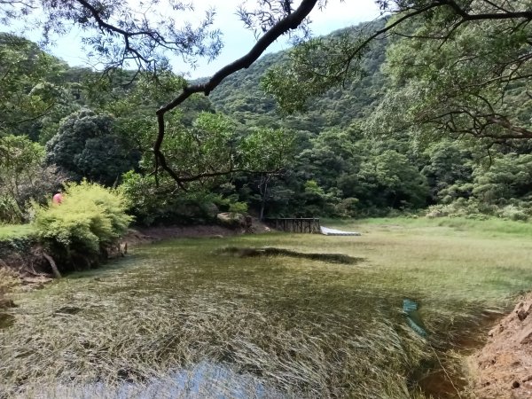 汐止區夢湖保線路+單車夢湖路O型2894144