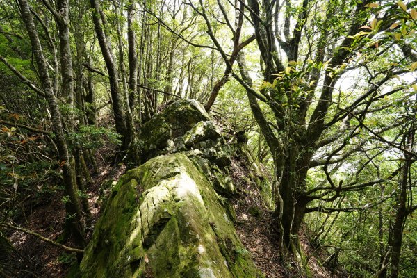 新竹 五峰 油羅山、霞山2798288
