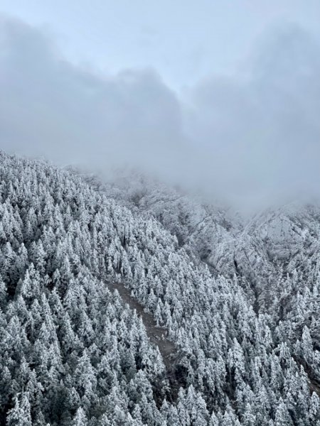 絕美銀白世界 玉山降下今年冬天「初雪」1236062