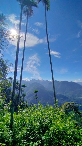 阿拔泉山/觀音石山/紅楠坑山 環狀2308159