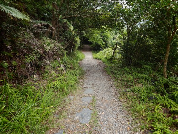 [淡蘭古道] 2026_0524 南路第五段_跑馬古道(下)-玉龍居3070182