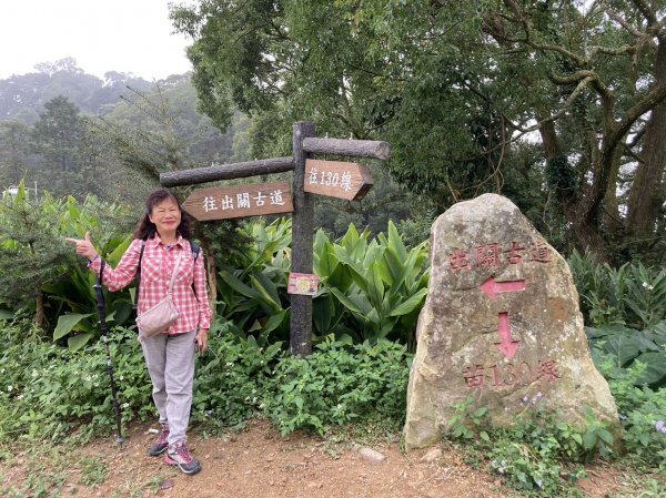 出關古道：聖關段(關刀山步道)、薑麻園、大湖酒莊【小百岳集起來、走路趣尋寶】2331931