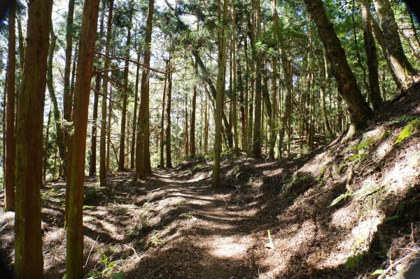 新竹 五峰 西高橋山、霞喀羅大山2959324