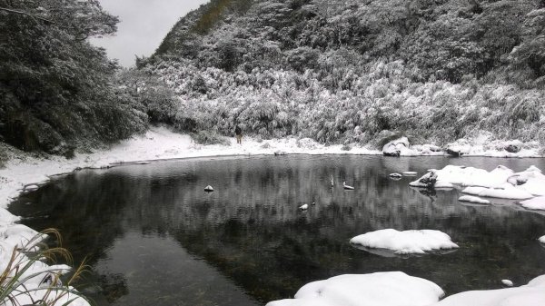 陽明山國家公園巡禮599143