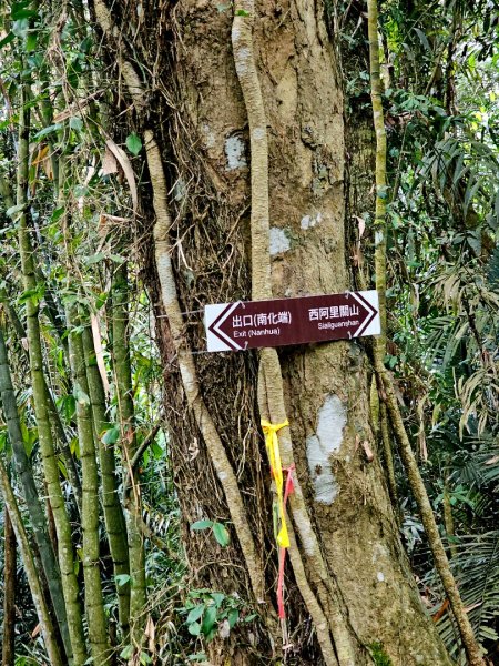 西阿里關山-小百岳#66-高雄市甲仙區2749996