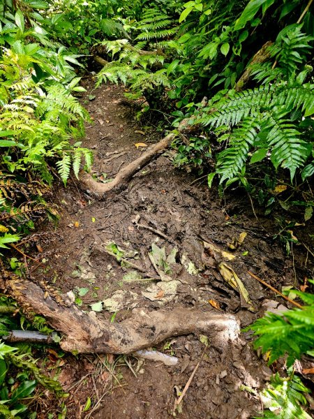 紅頭山-小百岳#97-台東縣蘭嶼鄉2901061