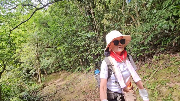 平湖西步道.內平林山.大坑山.平湖東步道O走全紀錄3094131