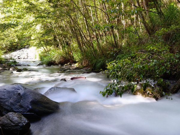 兩颱風之間空擋登屏風山巧遇保育類動物+出大景2237820