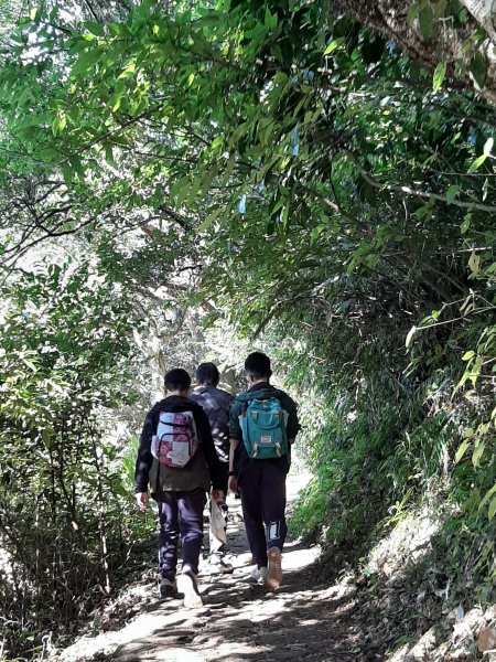 臺北大縱走1 + 向天池1262953