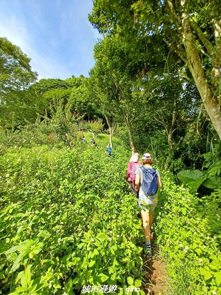 【南投信義】望鄉部落抬頭見玉山。 獵人古道連走、望美山、瓊山2274307