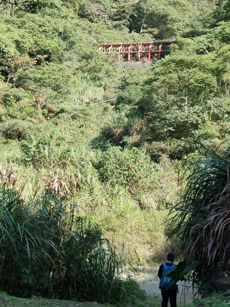 華山步道群1253518