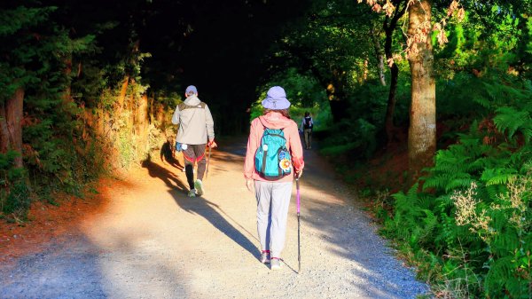 西班牙朝聖法國之路115KM, Day53125933