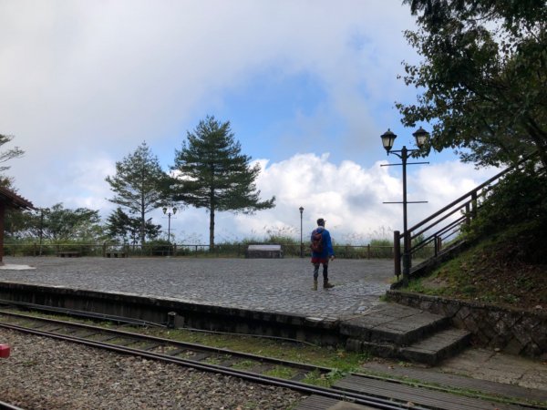 阿里山水山巨木、祝山觀日步道、對高岳步　726949