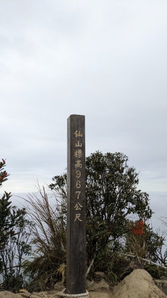 仙山小o走1979945