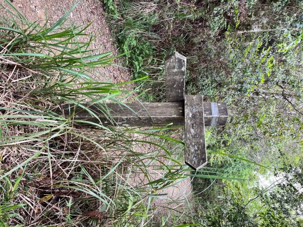 20250503_李棟山步道（新竹小百岳）2855863