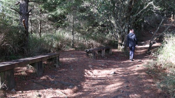 東埔山登山健行趣(中級山)2031797