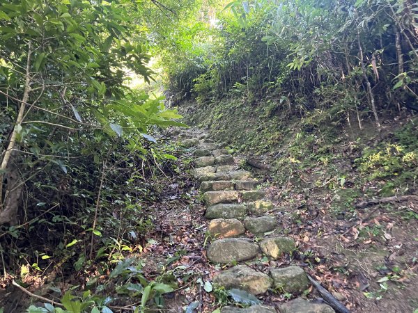 [淡蘭古道] 2025_0802 南路第四段2850813