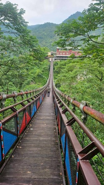 20250918達娜伊谷生態公園走巨石板步道🪨2890202