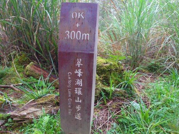 太平山之翠峰湖觀景環山步道44258