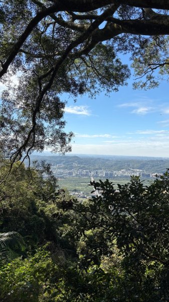 2025-11-30 飛鳳山 走來回