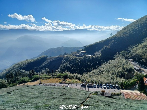 【嘉義梅山】悠閒踏青趣。 雲嘉大尖山、二尖山步道2447265