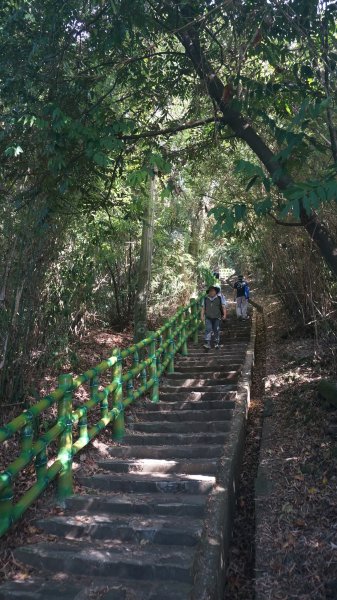 飛鳳山+石壁潭生態步道1189485