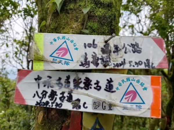 瑞芳區八分寮頂砲台+八分寮頂山+八分寮古道O型2772390