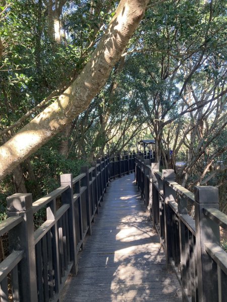 大肚萬里長城步道2973921