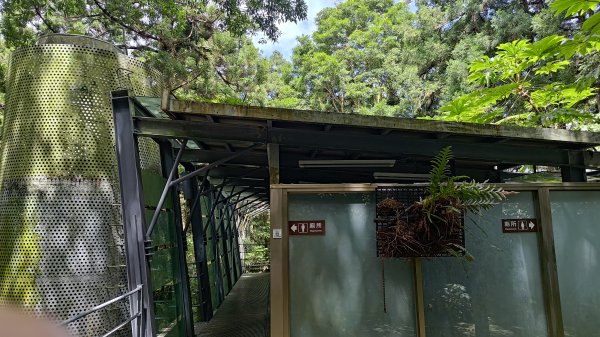 東眼山3107285