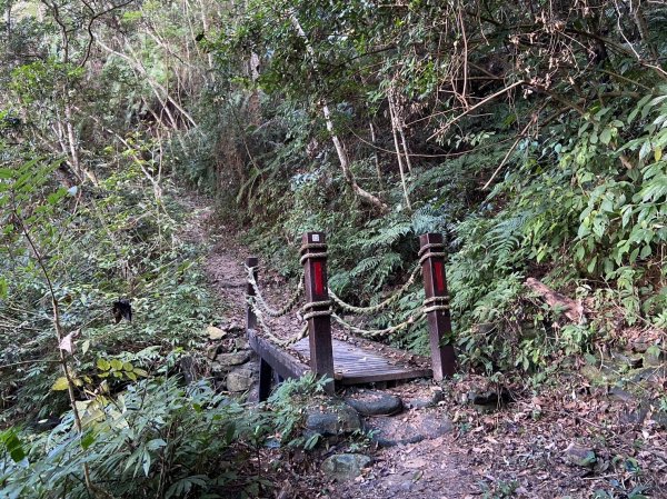 唐麻丹山-松鶴上三角點O型回松鶴2378398