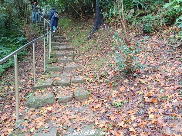 【新北。汐止】古樸山徑。 小百岳集起來。 編號12小百岳汐止大尖山1591413