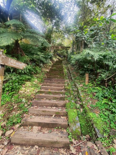 新店到貓空10K（台北天際線1部份路段）2993623