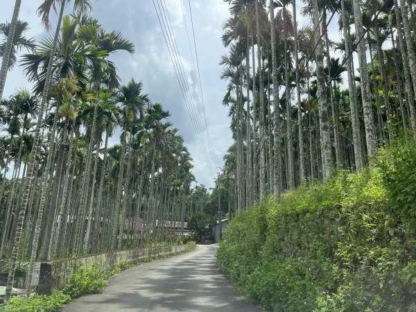 [皮皮獅Hike客任務-05/10] 2024_0721 石硬子古道(石峎古道)2557508