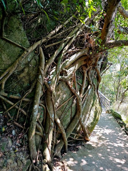 臺北2026年大縱走第五段：捷運劍潭站至碧山巖（劍潭支線）3017879