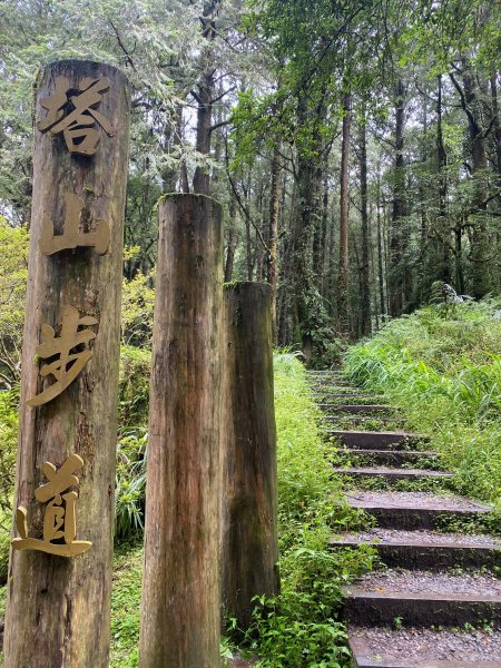 1120924阿里山塔山及水山療癒步道2642838