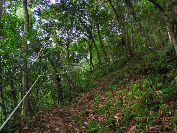 新北 坪林 九芎根山1422944