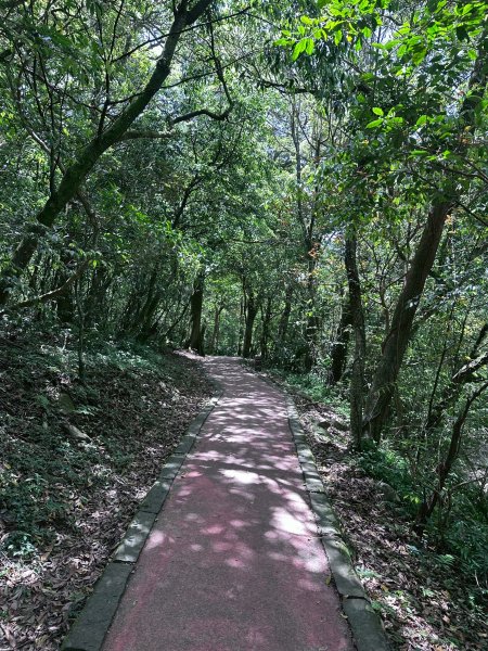 台北大縱走第一段2766800