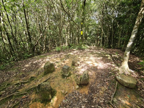 2025_0601 赫威山2802320