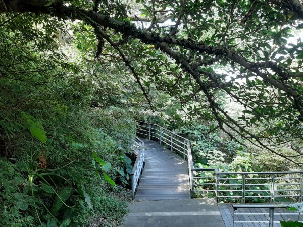 觀音山尋寶之林梢 楓櫃斗湖 福隆山 尖山1031480